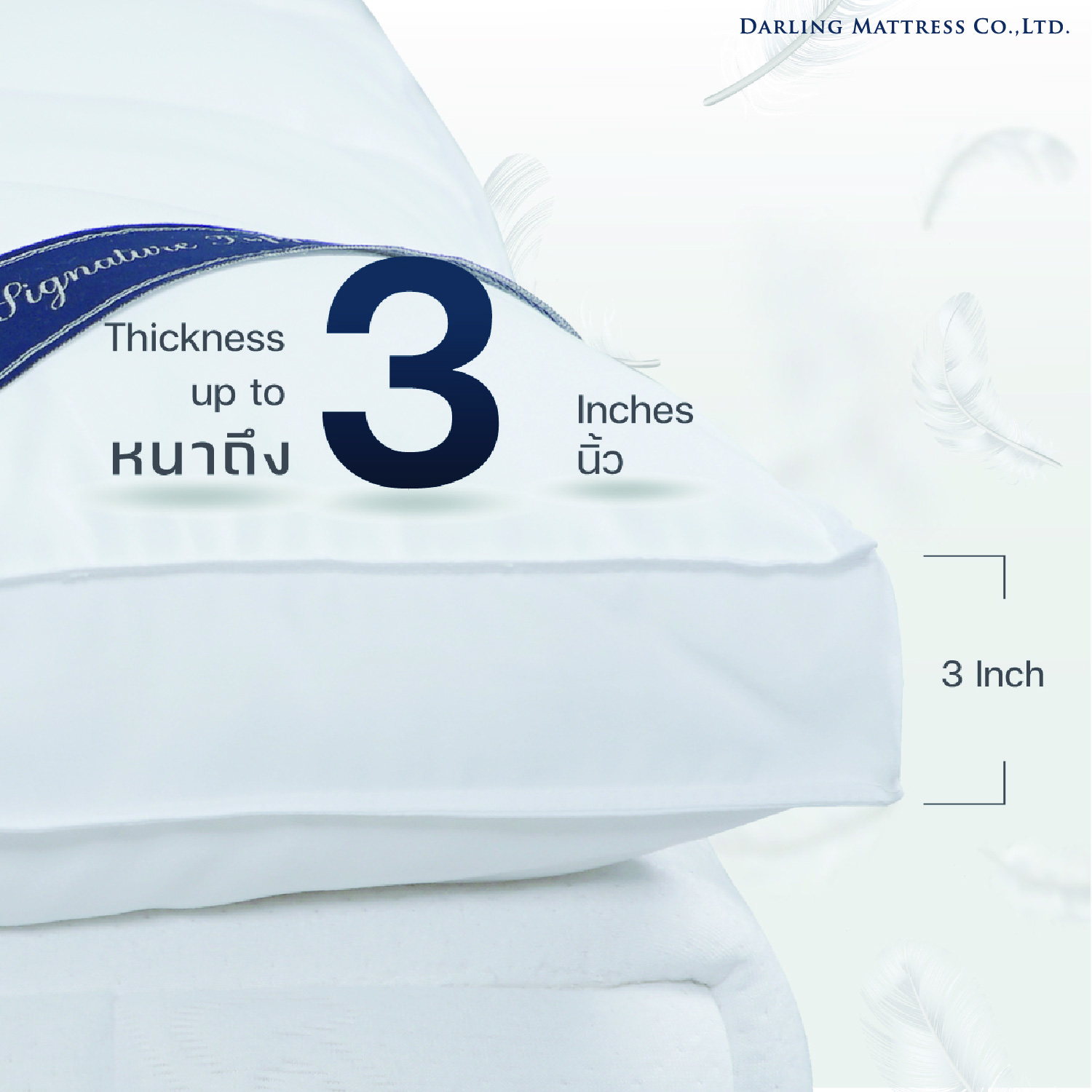 ท็อปเปอร์รองนอน 6 ฟุต DARLING MATTRESS รุ่นขนห่านเทียมหรือนาโนเจลรุ่นนุ่มฟู_2